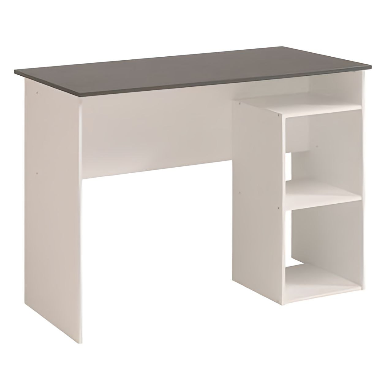 Desk White & Grey - 100 x 50 x 80 cm | DE12