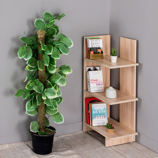 Wooden bookshelf with books and a potted plant next to it against a gray wall.