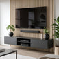 Modern living room with a black TV stand, television, and decorative plants.