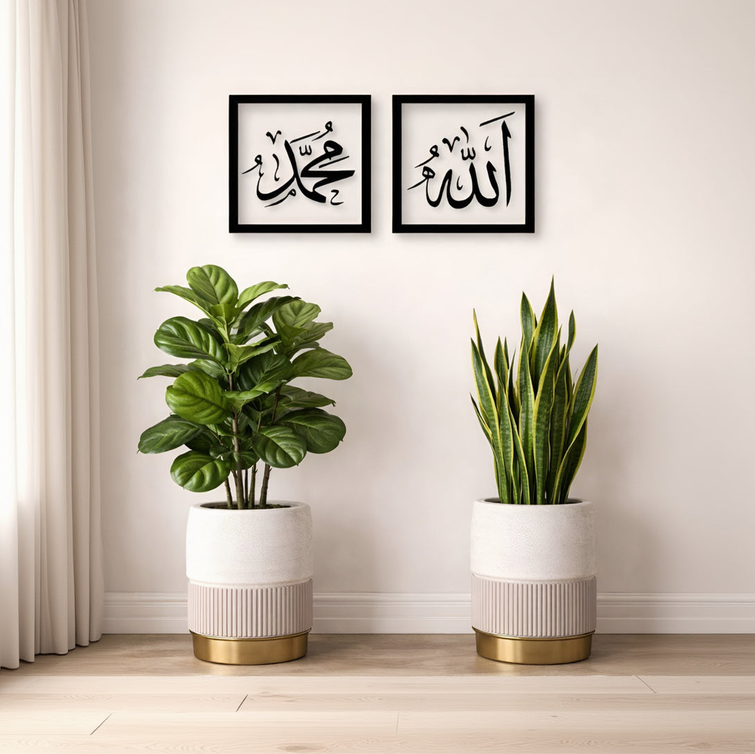 Two potted plants on a shelf with two framed Arabic calligraphy pieces above them.