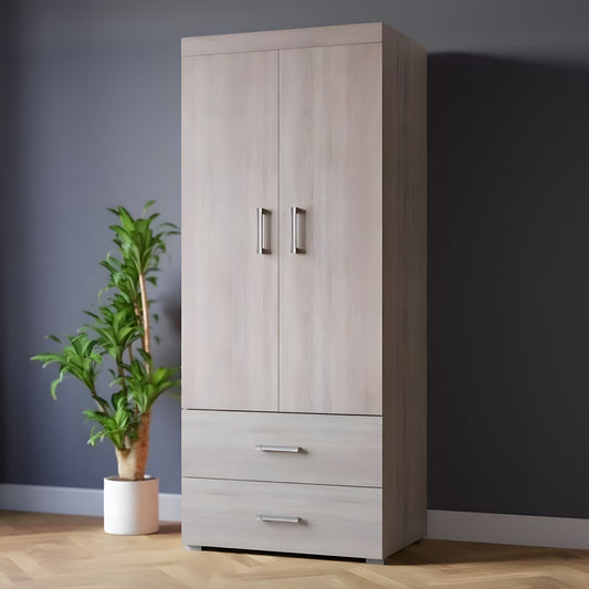 Wooden wardrobe with two doors and two drawers against a dark wall with a plant beside it.