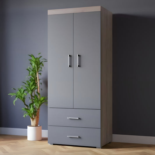 Gray wardrobe with two doors and two drawers next to a potted plant against a dark wall.