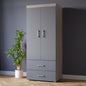 Gray wardrobe with two doors and two drawers next to a potted plant against a dark wall.