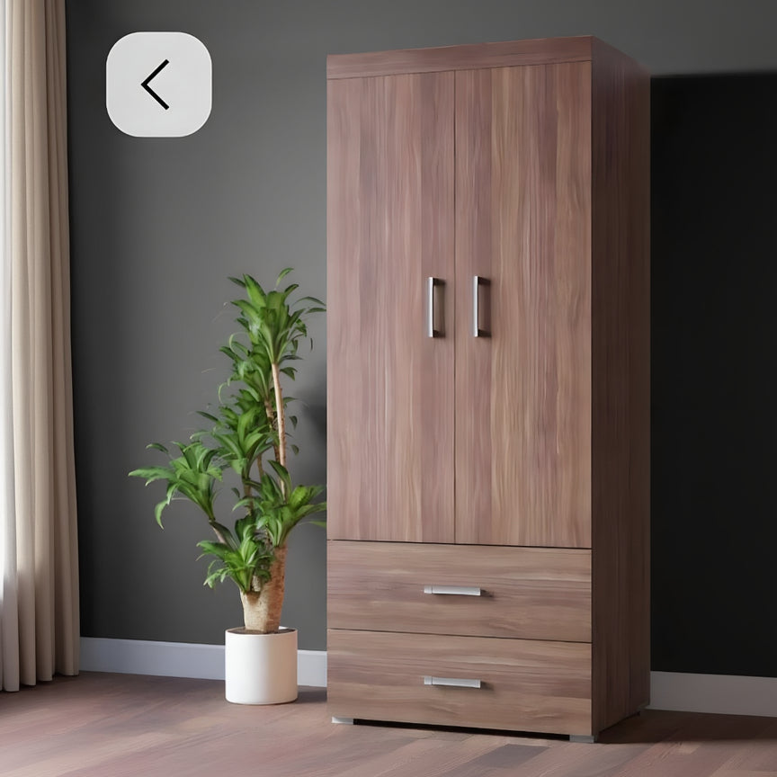 Wooden wardrobe with two doors and a drawer next to a potted plant on a gray background