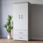 White wardrobe with silver handles next to a potted plant against a gray wall.