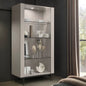 Modern glass display cabinet against a dark wall with decorative items inside.