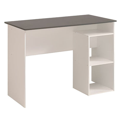 Desk White & Grey - 100 x 50 x 80 cm | DE12